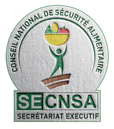 SECNSA